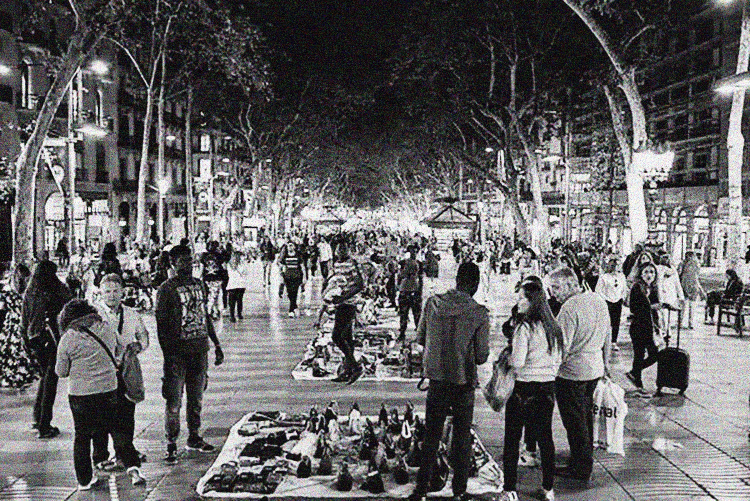  LES FULLES SENSE CASA 